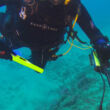 Deteknix XPointer Diver 30 méterig vízálló kézi fémkereső, pinpointer